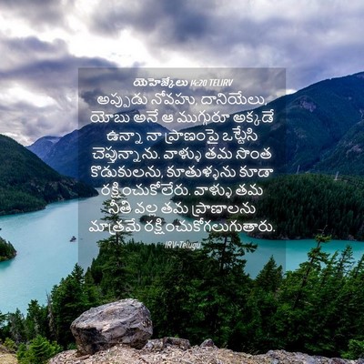 Picture 04 - యెహెజ్కేలు 14:20 TELIRV - అప్పుడు నోవహు, - Bible Verse Picture