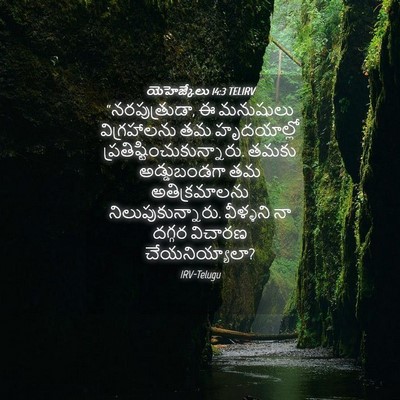 Picture 04 - యెహెజ్కేలు 14:3 TELIRV - “నరపుత్రుడా, ఈ - Bible Verse Picture