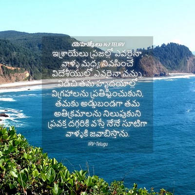 Picture 04 - యెహెజ్కేలు 14:7 TELIRV - ఇశ్రాయేలు - Bible Verse Picture
