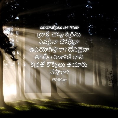 Picture 04 - యెహెజ్కేలు 15:3 TELIRV - ద్రాక్ష చెట్టు - Bible Verse Picture