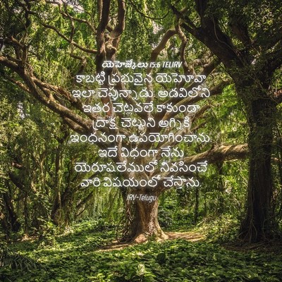 Picture 04 - యెహెజ్కేలు 15:6 TELIRV - కాబట్టి ప్రభువైన - Bible Verse Picture