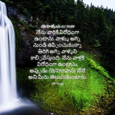 Picture 04 - యెహెజ్కేలు 15:7 TELIRV - నేను వారికి - Bible Verse Picture