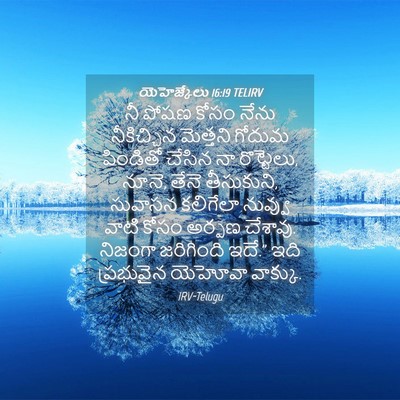 Picture 04 - యెహెజ్కేలు 16:19 TELIRV - నీ పోషణ కోసం నేను - Bible Verse Picture