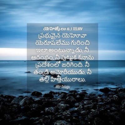 Picture 04 - యెహెజ్కేలు 16:3 TELIRV - ప్రభువైన యెహోవా - Bible Verse Picture