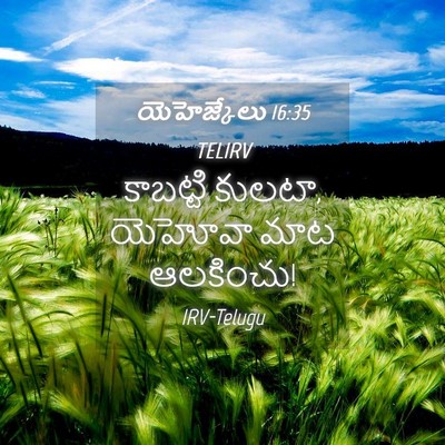 Picture 04 - యెహెజ్కేలు 16:35 TELIRV - కాబట్టి కులటా, - Bible Verse Picture