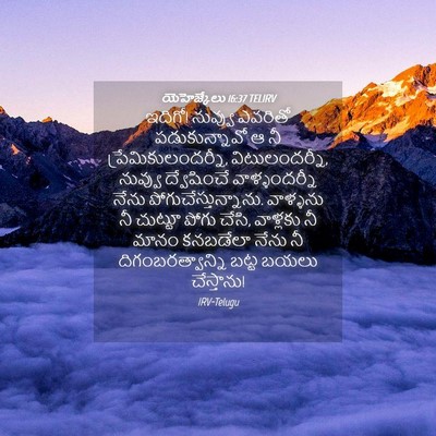 Picture 04 - యెహెజ్కేలు 16:37 TELIRV - ఇదిగో! నువ్వు - Bible Verse Picture