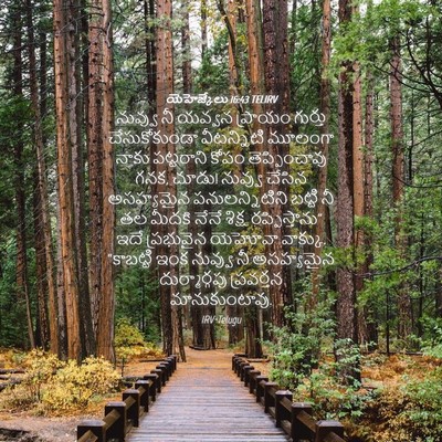 Picture 04 - యెహెజ్కేలు 16:43 TELIRV - నువ్వు నీ యవ్వన - Bible Verse Picture