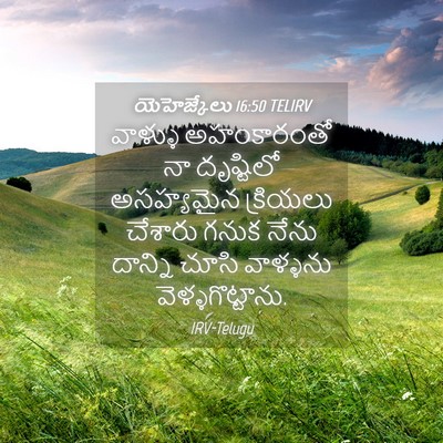 Picture 04 - యెహెజ్కేలు 16:50 TELIRV - వాళ్ళు అహంకారంతో - Bible Verse Picture