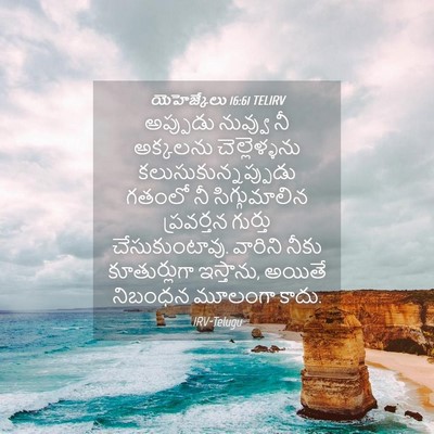 Picture 04 - యెహెజ్కేలు 16:61 TELIRV - అప్పుడు నువ్వు నీ - Bible Verse Picture