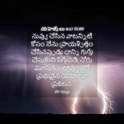 Picture 04 - యెహెజ్కేలు 16:63 TELIRV - నువ్వు చేసిన - Bible Verse Picture