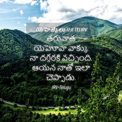 Picture 04 - యెహెజ్కేలు 17:11 TELIRV - తరువాత యెహోవా - Bible Verse Picture