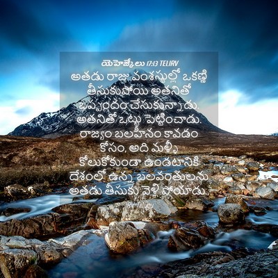 Picture 04 - యెహెజ్కేలు 17:13 TELIRV - అతడు రాజు - Bible Verse Picture