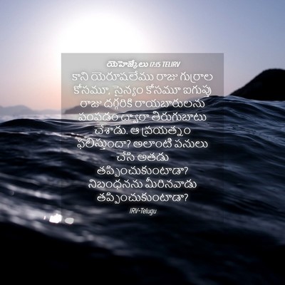 Picture 04 - యెహెజ్కేలు 17:15 TELIRV - కాని యెరూషలేము - Bible Verse Picture