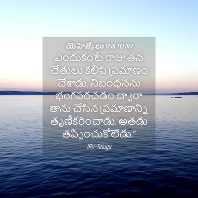 Picture 04 - యెహెజ్కేలు 17:18 TELIRV - ఎందుకంటే రాజు తన - Bible Verse Picture