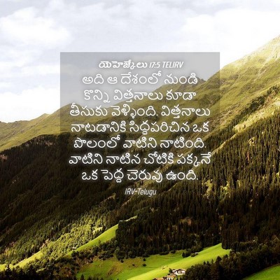 Picture 04 - యెహెజ్కేలు 17:5 TELIRV - అది ఆ దేశంలో నుండి - Bible Verse Picture
