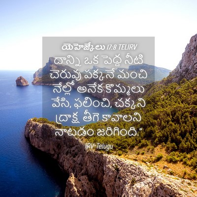 Picture 04 - యెహెజ్కేలు 17:8 TELIRV - దాన్ని ఒక పెద్ద - Bible Verse Picture