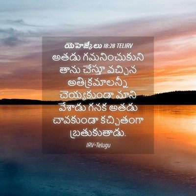 Picture 04 - యెహెజ్కేలు 18:28 TELIRV - అతడు గమనించుకుని - Bible Verse Picture