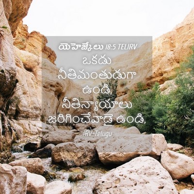 Picture 04 - యెహెజ్కేలు 18:5 TELIRV - ఒకడు నీతిమంతుడుగా - Bible Verse Picture