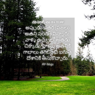 Picture 04 - యెహెజ్కేలు 19:4 TELIRV - అప్పుడు ఇతర - Bible Verse Picture