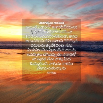Picture 04 - యెహెజ్కేలు 20:13 TELIRV - అయితే ఎడారిలో - Bible Verse Picture