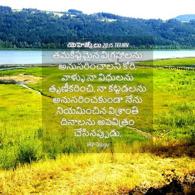 Picture 04 - యెహెజ్కేలు 20:15 TELIRV - తమకిష్టమైన - Bible Verse Picture
