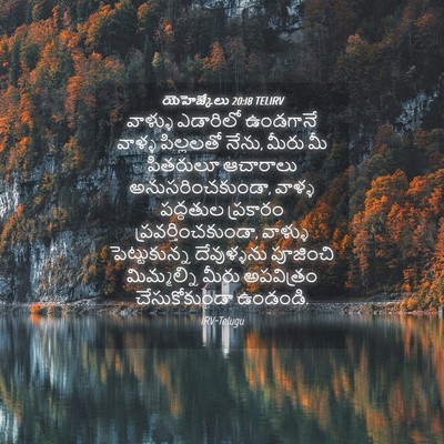 Picture 04 - యెహెజ్కేలు 20:18 TELIRV - వాళ్ళు ఎడారిలో - Bible Verse Picture