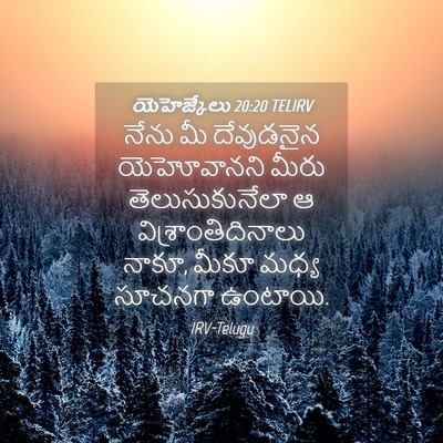 Picture 04 - యెహెజ్కేలు 20:20 TELIRV - నేను మీ దేవుడనైన - Bible Verse Picture