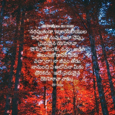 Picture 04 - యెహెజ్కేలు 20:3 TELIRV - “నరపుత్రుడా, - Bible Verse Picture