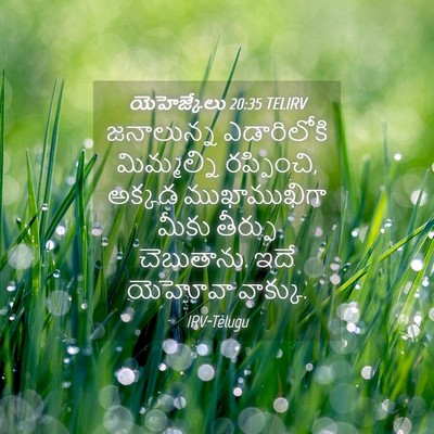 Picture 04 - యెహెజ్కేలు 20:35 TELIRV - జనాలున్న - Bible Verse Picture