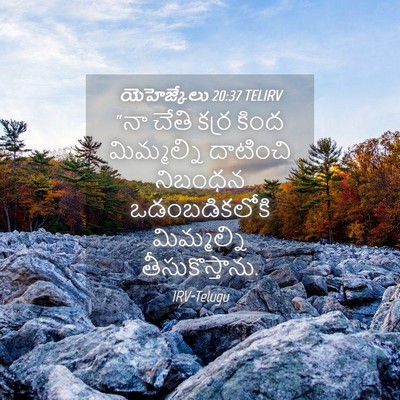 Picture 04 - యెహెజ్కేలు 20:37 TELIRV - “నా చేతి కర్ర కింద - Bible Verse Picture