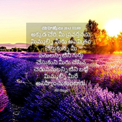 Picture 04 - యెహెజ్కేలు 20:43 TELIRV - అక్కడ చేరి, మీ - Bible Verse Picture