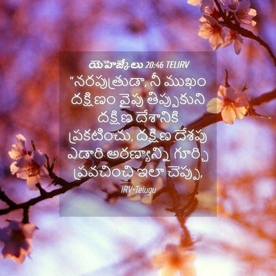 Picture 04 - యెహెజ్కేలు 20:46 TELIRV - “నరపుత్రుడా, నీ - Bible Verse Picture