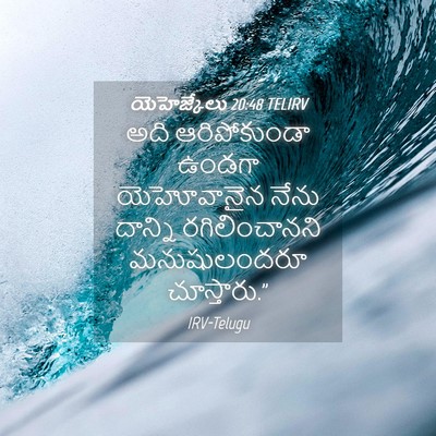 Picture 04 - యెహెజ్కేలు 20:48 TELIRV - అది ఆరిపోకుండా - Bible Verse Picture