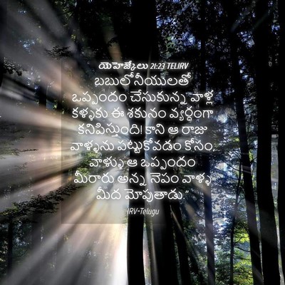 Picture 04 - యెహెజ్కేలు 21:23 TELIRV - బబులోనీయులతో - Bible Verse Picture