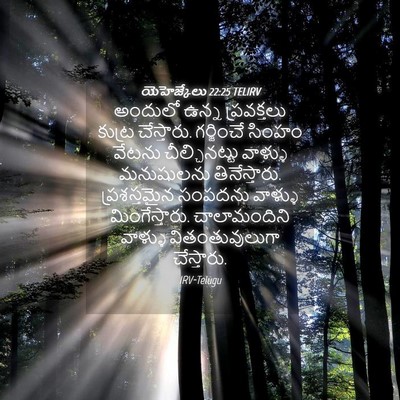 Picture 04 - యెహెజ్కేలు 22:25 TELIRV - అందులో ఉన్న - Bible Verse Picture