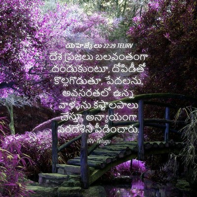 Picture 04 - యెహెజ్కేలు 22:29 TELIRV - దేశ ప్రజలు - Bible Verse Picture