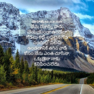 Picture 04 - యెహెజ్కేలు 22:30 TELIRV - నేను దేశాన్ని - Bible Verse Picture