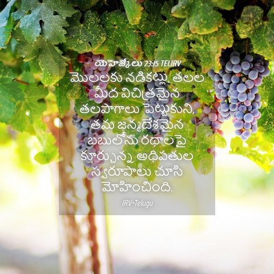 Picture 04 - యెహెజ్కేలు 23:15 TELIRV - మొలలకు నడికట్లు, - Bible Verse Picture
