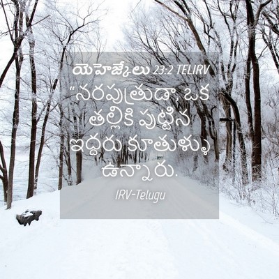 Picture 04 - యెహెజ్కేలు 23:2 TELIRV - “నరపుత్రుడా, ఒక - Bible Verse Picture