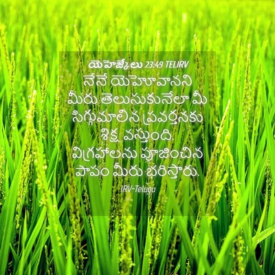 Picture 04 - యెహెజ్కేలు 23:49 TELIRV - నేనే యెహోవానని - Bible Verse Picture