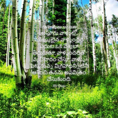 Picture 04 - యెహెజ్కేలు 23:7 TELIRV - అష్షూరు వాళ్ళల్లో - Bible Verse Picture