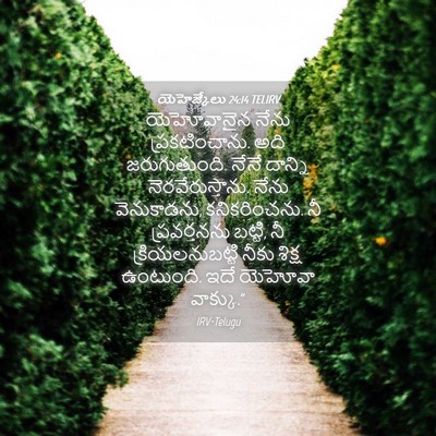 Picture 04 - యెహెజ్కేలు 24:14 TELIRV - యెహోవానైన నేను - Bible Verse Picture