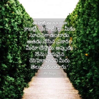 Picture 04 - యెహెజ్కేలు 24:24 TELIRV - కాబట్టి, - Bible Verse Picture