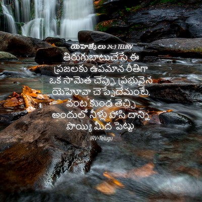 Picture 04 - యెహెజ్కేలు 24:3 TELIRV - తిరుగుబాటుచేసే ఈ - Bible Verse Picture