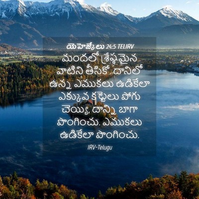 Picture 04 - యెహెజ్కేలు 24:5 TELIRV - మందలో శ్రేష్ఠమైన - Bible Verse Picture