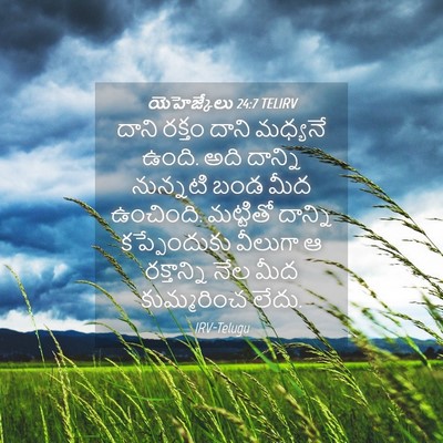 Picture 04 - యెహెజ్కేలు 24:7 TELIRV - దాని రక్తం దాని - Bible Verse Picture