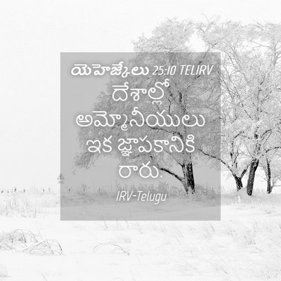 Picture 04 - యెహెజ్కేలు 25:10 TELIRV - దేశాల్లో - Bible Verse Picture