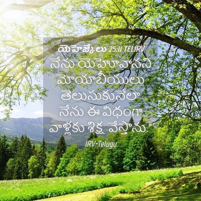 Picture 04 - యెహెజ్కేలు 25:11 TELIRV - నేను యెహోవానని - Bible Verse Picture