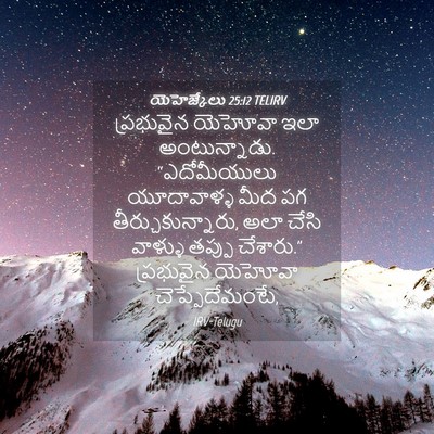 Picture 04 - యెహెజ్కేలు 25:12 TELIRV - ప్రభువైన యెహోవా - Bible Verse Picture