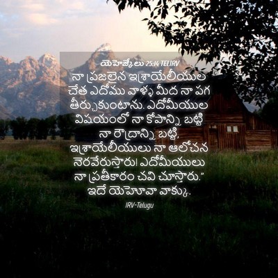 Picture 04 - యెహెజ్కేలు 25:14 TELIRV - నా ప్రజలైన - Bible Verse Picture